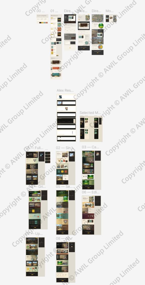 Allwalks — Game & Website UI Design process image 4